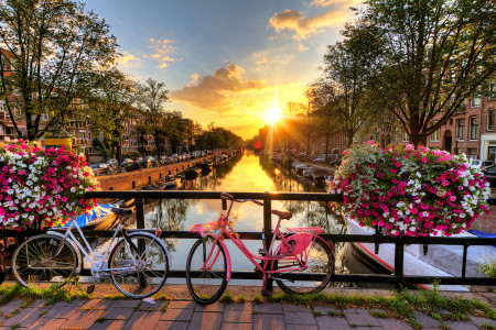 Explore The Beautiful Canals And Architecture Of Amsterdam